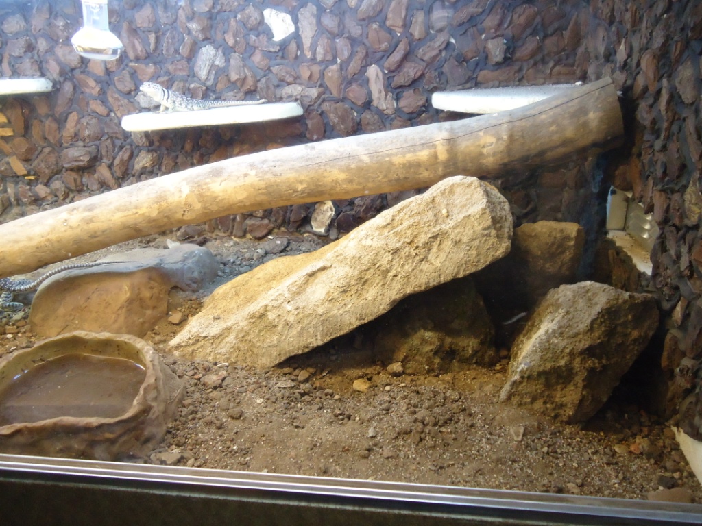 DSC01891