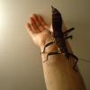 DSC02648